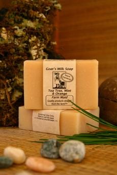 Tea Tree Mint & Orange Goat's Milk Soap ~ All Natural